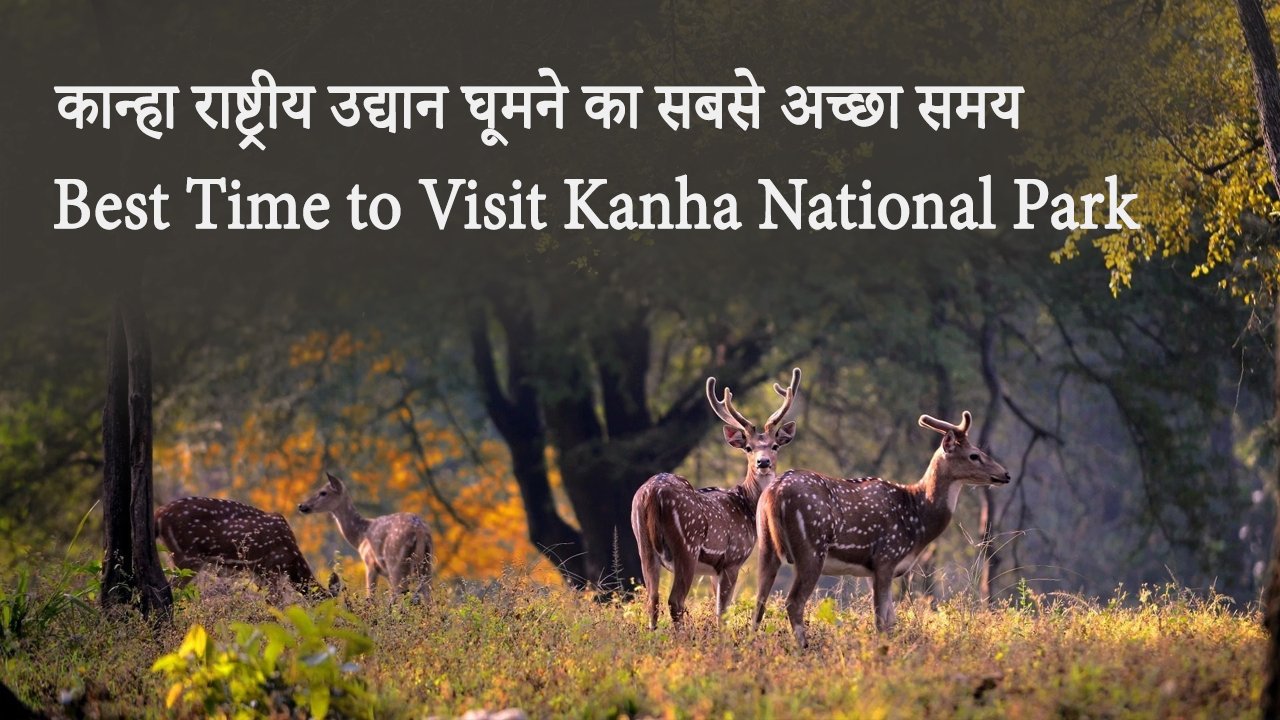 कान्हा राष्ट्रीय उद्यान घूमने का सबसे अच्छा समय Best Time to Visit Kanha National Park